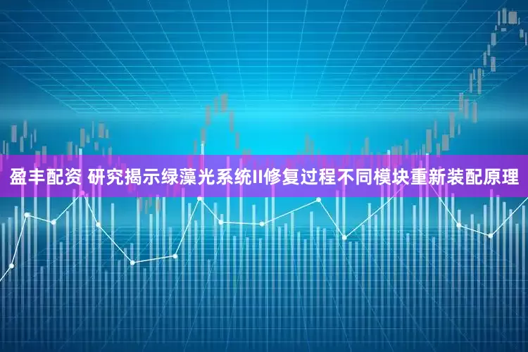 盈丰配资 研究揭示绿藻光系统II修复过程不同模块重新装配原理