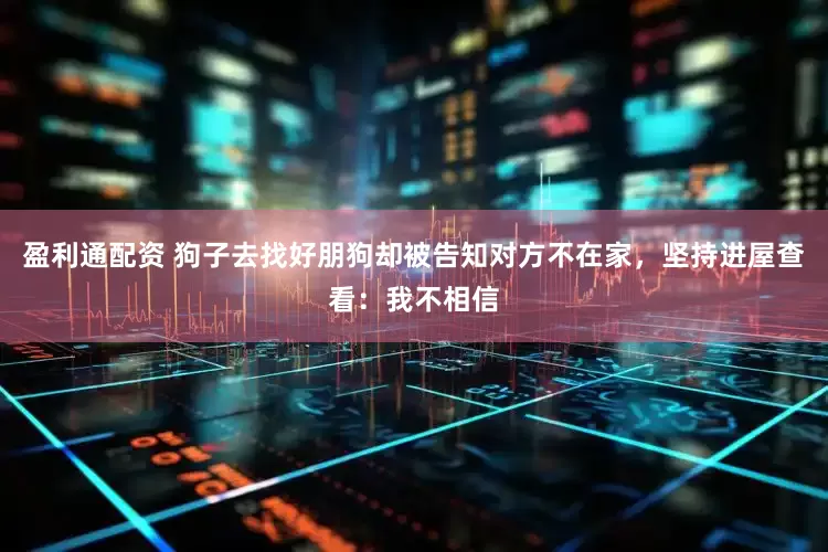 盈利通配资 狗子去找好朋狗却被告知对方不在家，坚持进屋查看：我不相信