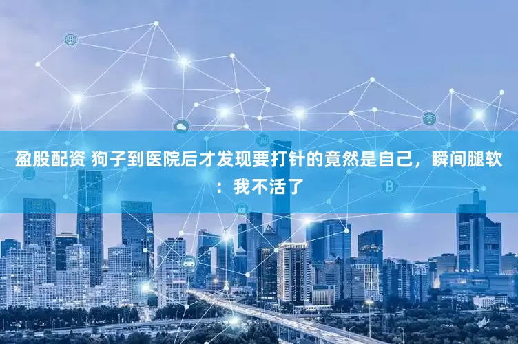 盈股配资 狗子到医院后才发现要打针的竟然是自己，瞬间腿软：我不活了