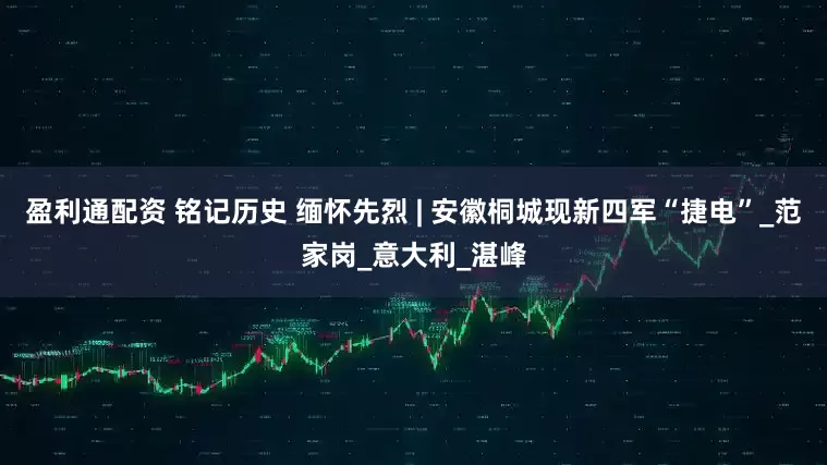 盈利通配资 铭记历史 缅怀先烈 | 安徽桐城现新四军“捷电”_范家岗_意大利_湛峰